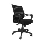 Ergonomica Boom Mesh Mid Back Black Executive Revolving Office Chair with Nylon Base