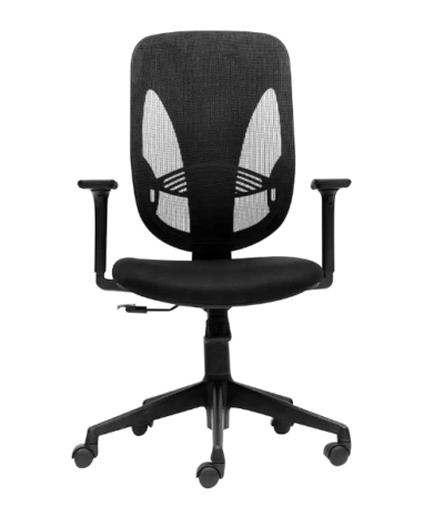 Krishtha Ergonomic ChairKrishtha Manual Office Chair – Black, Stainless Steel Finish