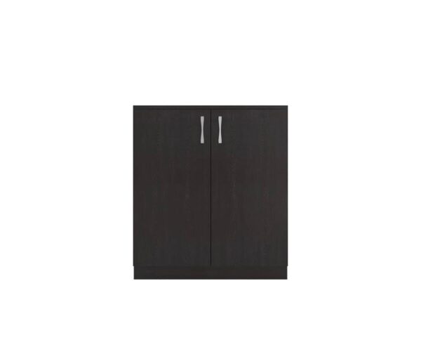 KRISHTHA Engineered Wood Double Door Shoe Rack Cabinet (Rainforest Dark) | Pre-Assembled Storage Organizer with 4 Compartments for Indoor/Outdoor Use