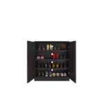 KRISHTHA Engineered Wood Double Door Shoe Rack Cabinet (Rainforest Dark) | Pre-Assembled Storage Organizer with 4 Compartments for Indoor/Outdoor Use