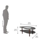 Nilkamal Stuart Tempered Glass Center Table – Modern Coffee Table with Open Shelf, Black/Walnut Finish