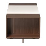 Nilkamal Carin Engineered Wood Center Table – Rectangular Coffee Table with Shelf, Walnut/Oak Finish