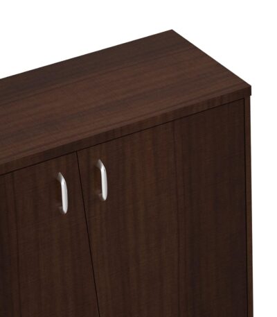 KRISHTHA Conga Engineered Wood Shoe Rack (Dark Elm Finish) | Modern Shoe Organizer Cabinet with Doors for Home & Office Use | Compact Storage Shelf